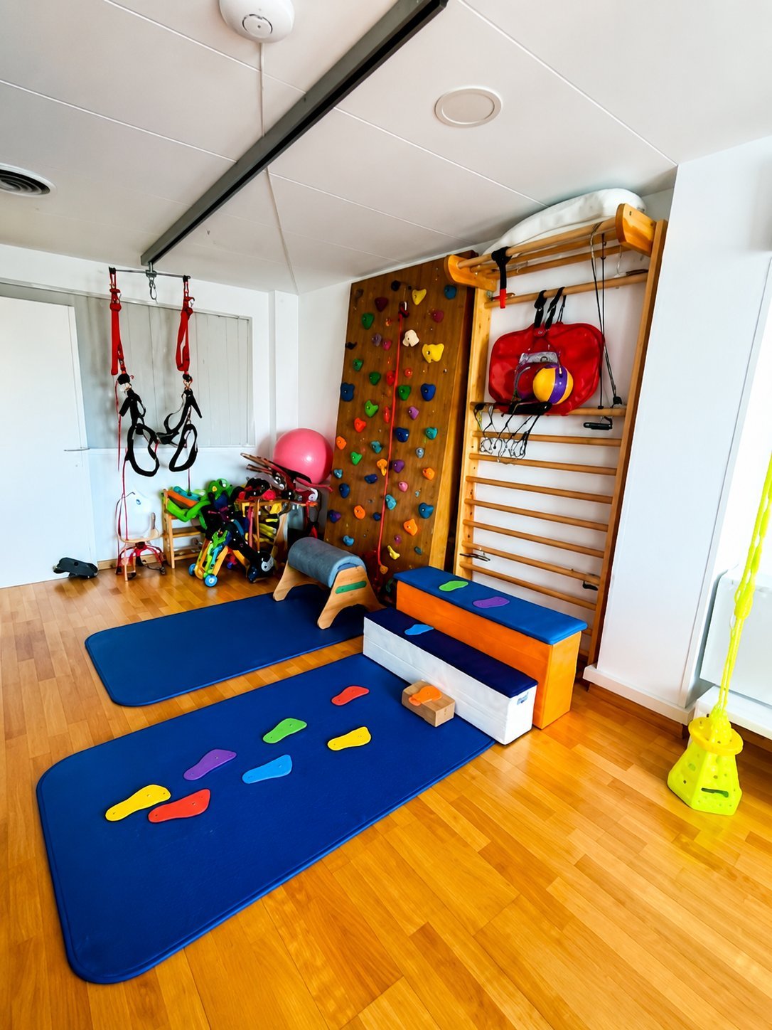 Neurología pediátrica y juvenil